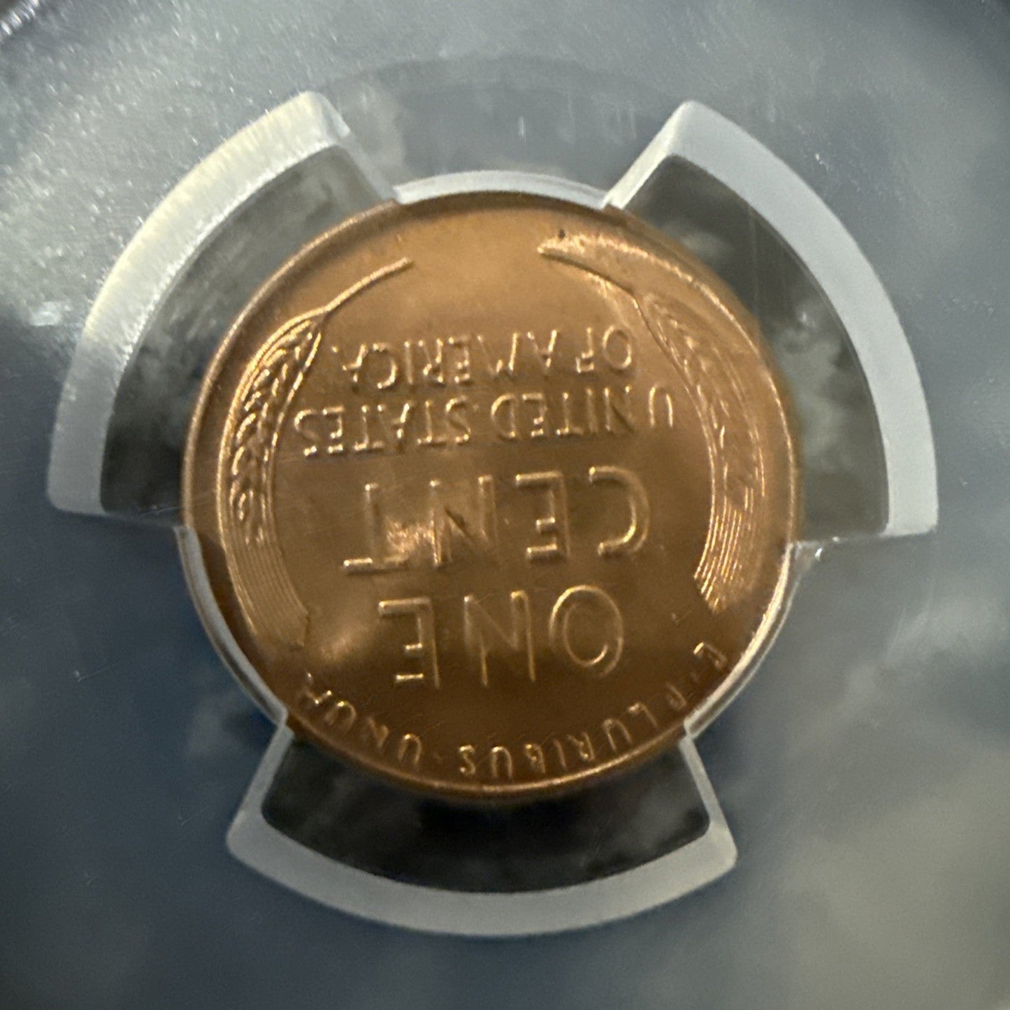 1941 D Wheat Cent PCGS MS65 RD - toyscardscomics