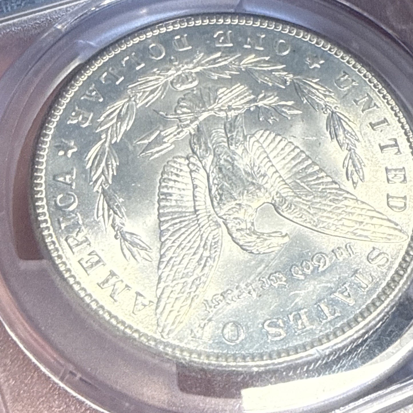 1900-0 PCGS Morgan Dollar PCGS MS64