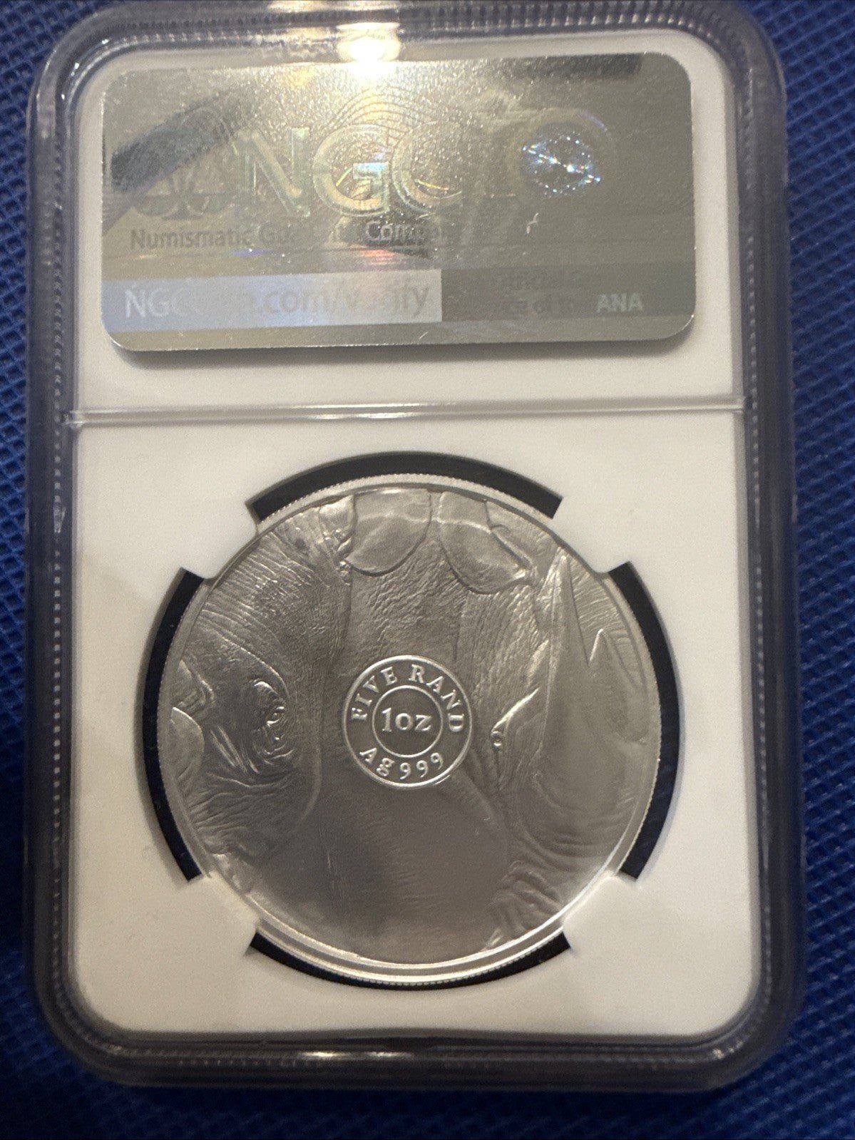MS70 Silver 1 oz NGC First Releases Big 5 Series S5R South Africa Rhino 2022 - toyscardscomics