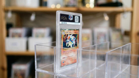 Best Slabbed Cards for New Collectors
