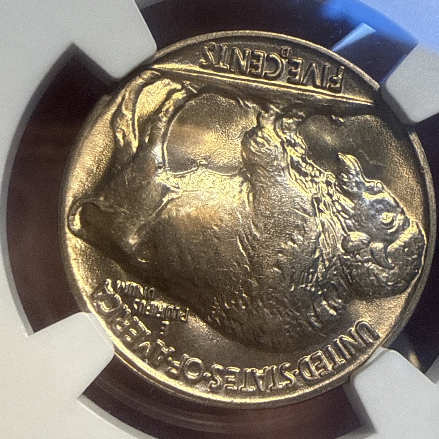 1938-D/S Buffalo Nickel - 5c NGC MS66 - Bullion Plus