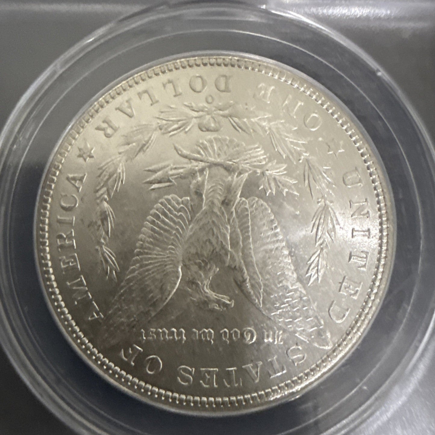 1901 - O Morgan Dollar : ANACS MS62 - toyscardscomics
