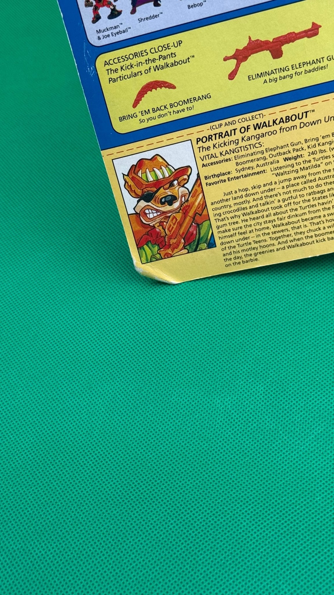 1990 Teenage Mutant Ninja Turtles Walkabout - toyscardscomics