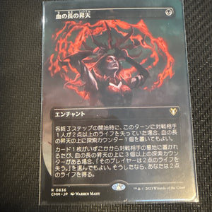Magic The Gathering, Bloodchief Ascension, JPN, NM, Borderless
