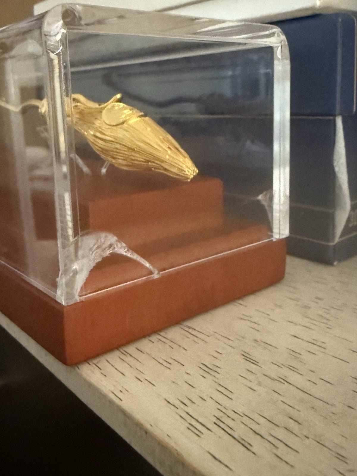 2024 Samoa Nimbus 2000 Harry Potter 3 oz Silver Gilded 3D Coin - toyscardscomics