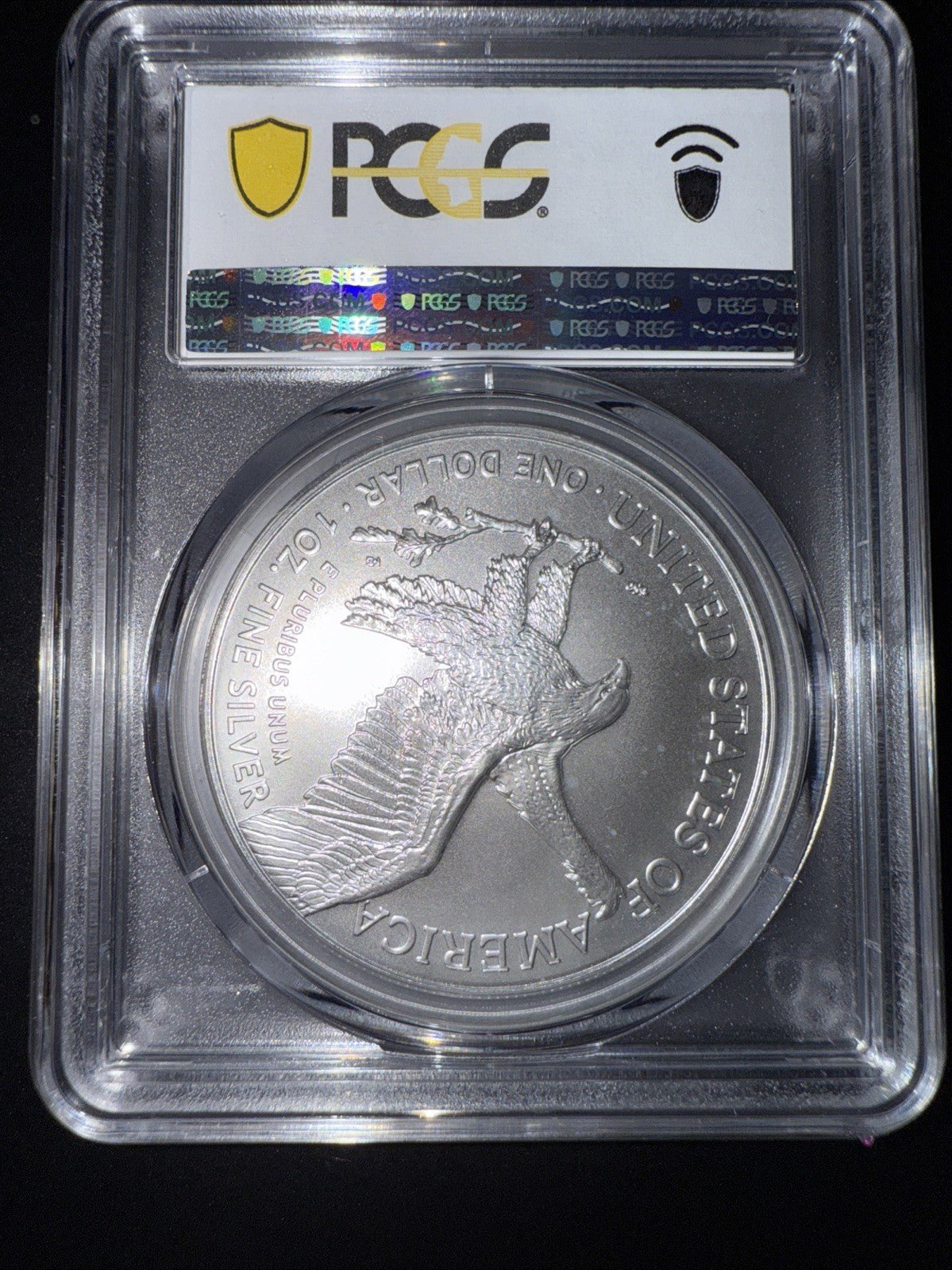 2025 Silver American Eagle MS - 69 PCGS - toyscardscomics
