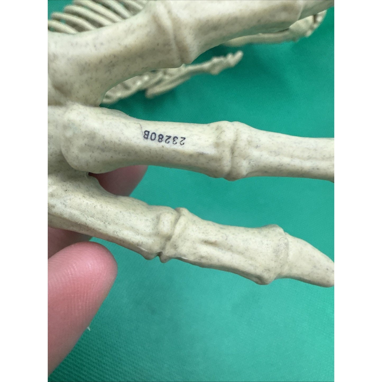 Jurassic World Fallen Kingdom Quest Indominus Rex Articulated Skeleton Figure