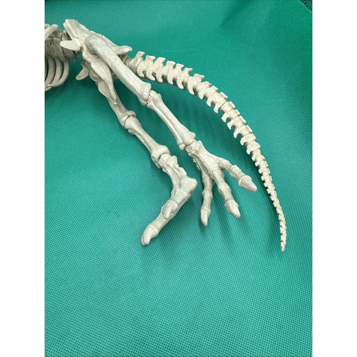 Jurassic World Fallen Kingdom Quest Indominus Rex Articulated Skeleton Figure