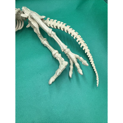 Jurassic World Fallen Kingdom Quest Indominus Rex Articulated Skeleton Figure
