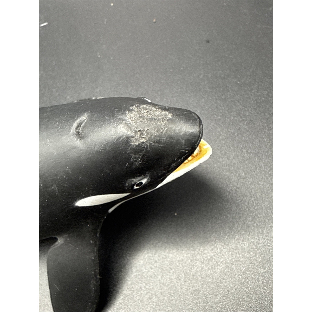 2007 ORCA Killer Whale 6” Safari Ltd Toys Figurine. Sea Life Mammal Marine