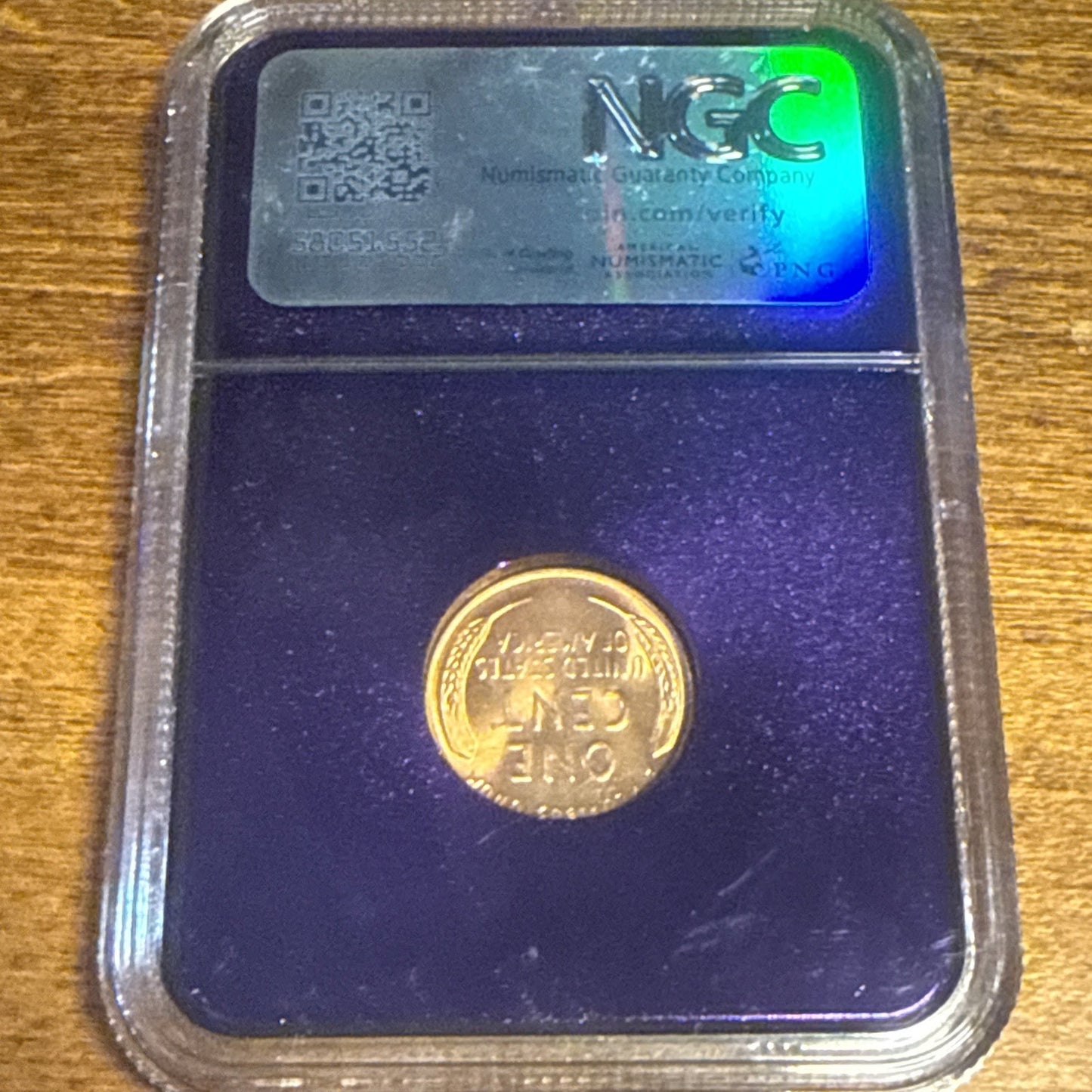 1954 D MS66RD Wheat Cent NGC Trader Bea Purple Core