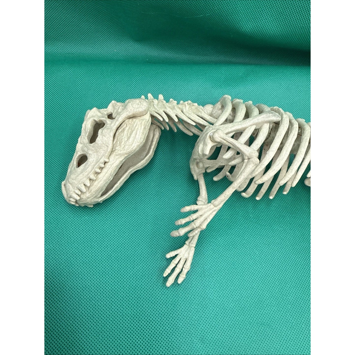 Jurassic World Fallen Kingdom Quest Indominus Rex Articulated Skeleton Figure