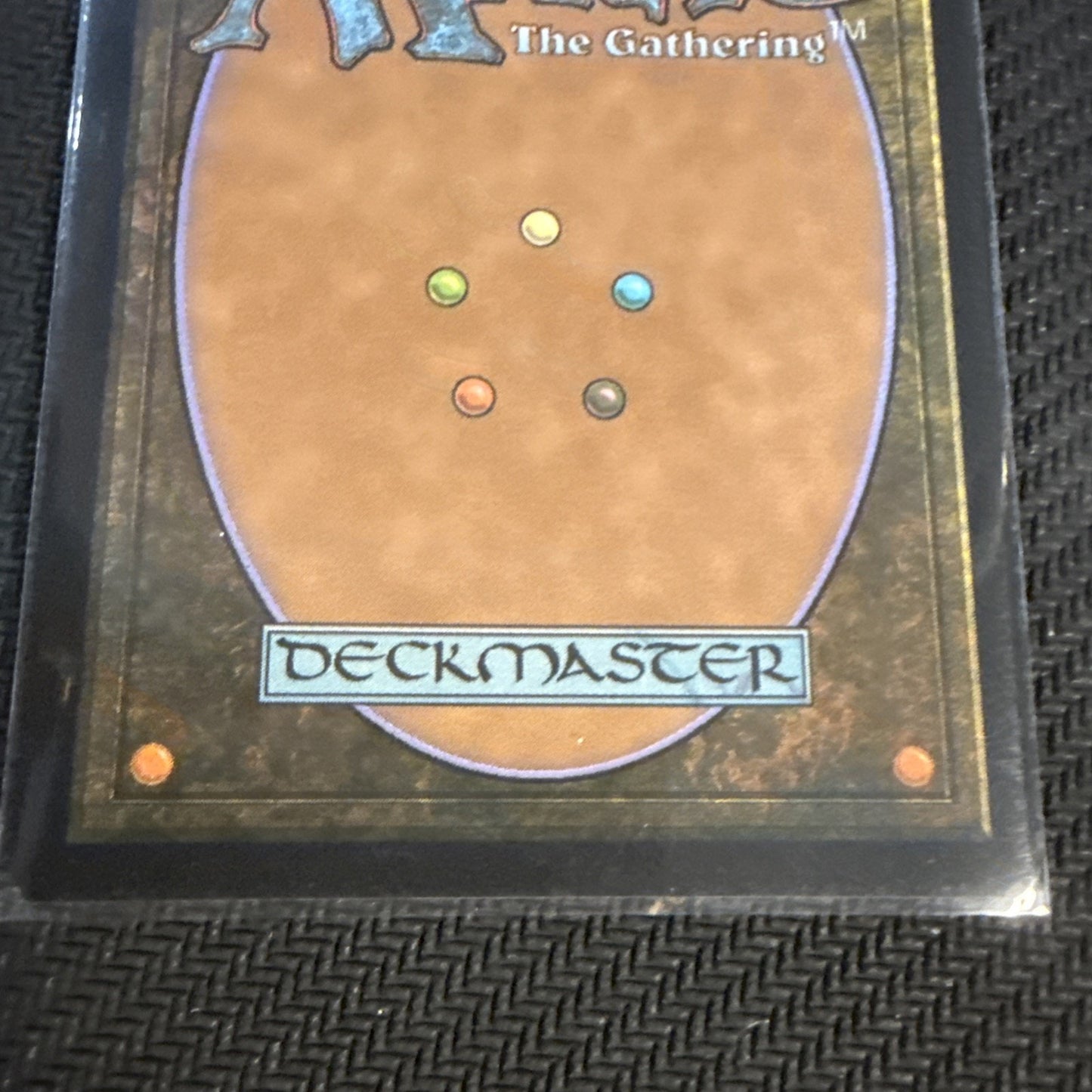 Dawn's Truce Bloomburrow Foil