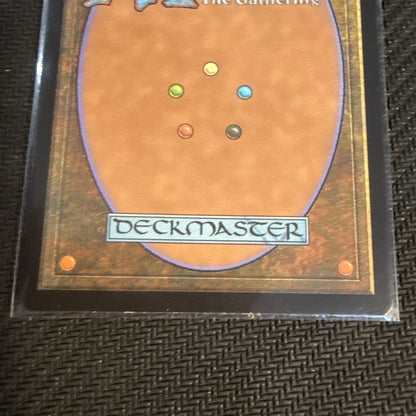 1x Court of Garenbrig FOIL (Extended) - NM - Commander: Wilds of Eldraine - 33