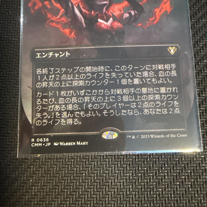 Magic The Gathering, Bloodchief Ascension, JPN, NM, Borderless