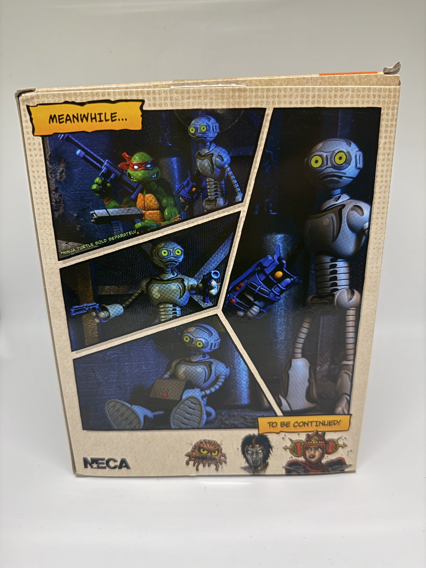 Teenage Mutant Ninja Turtle 