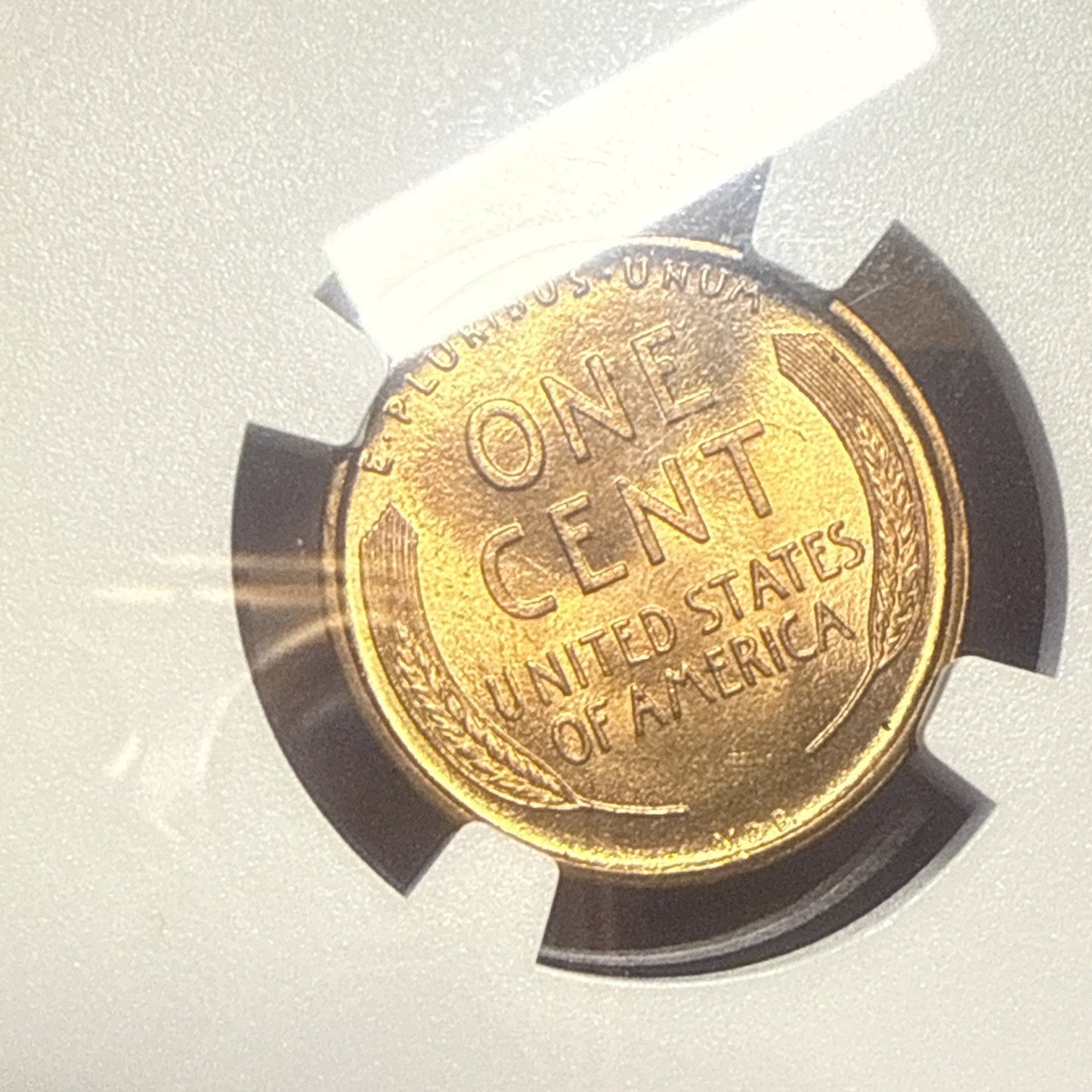 1909 VDB Lincoln Cent NGC MS 65 RD - Bullion Plus