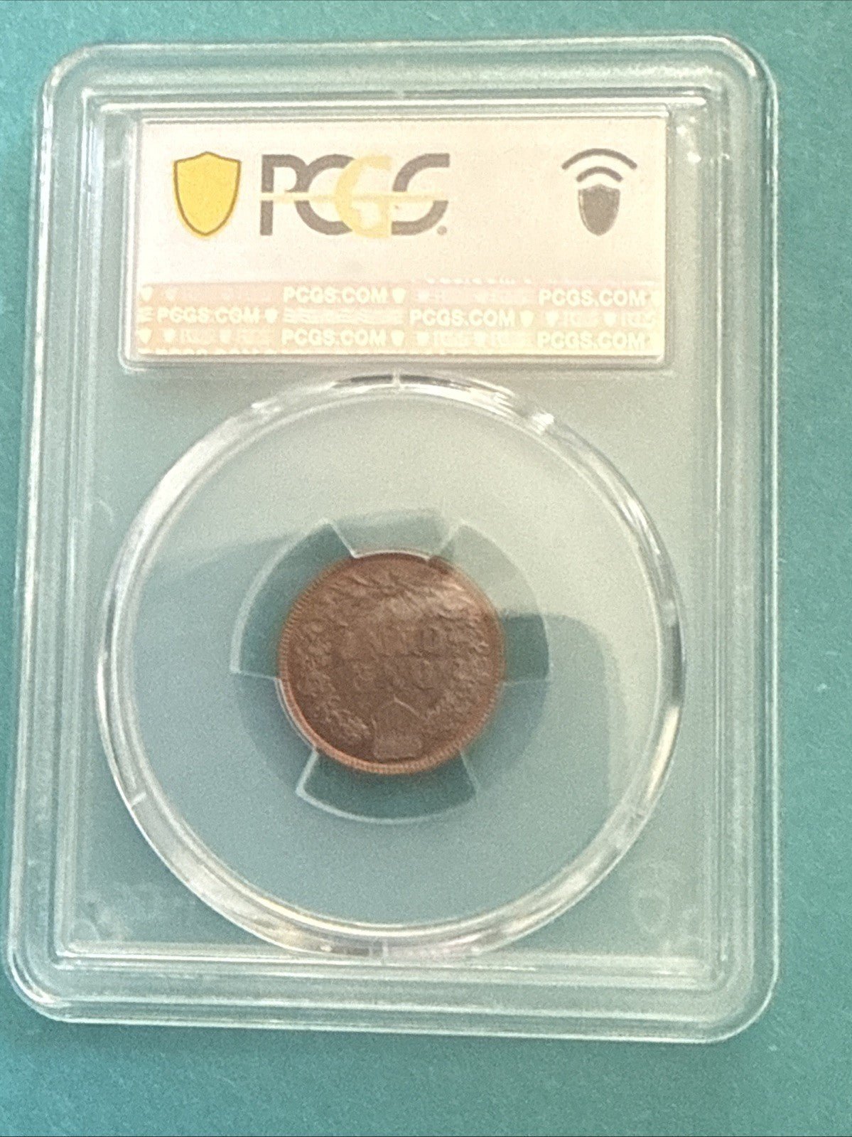 BU 1881 Indian Head Cent Penny PCGS MS63BN - toyscardscomics