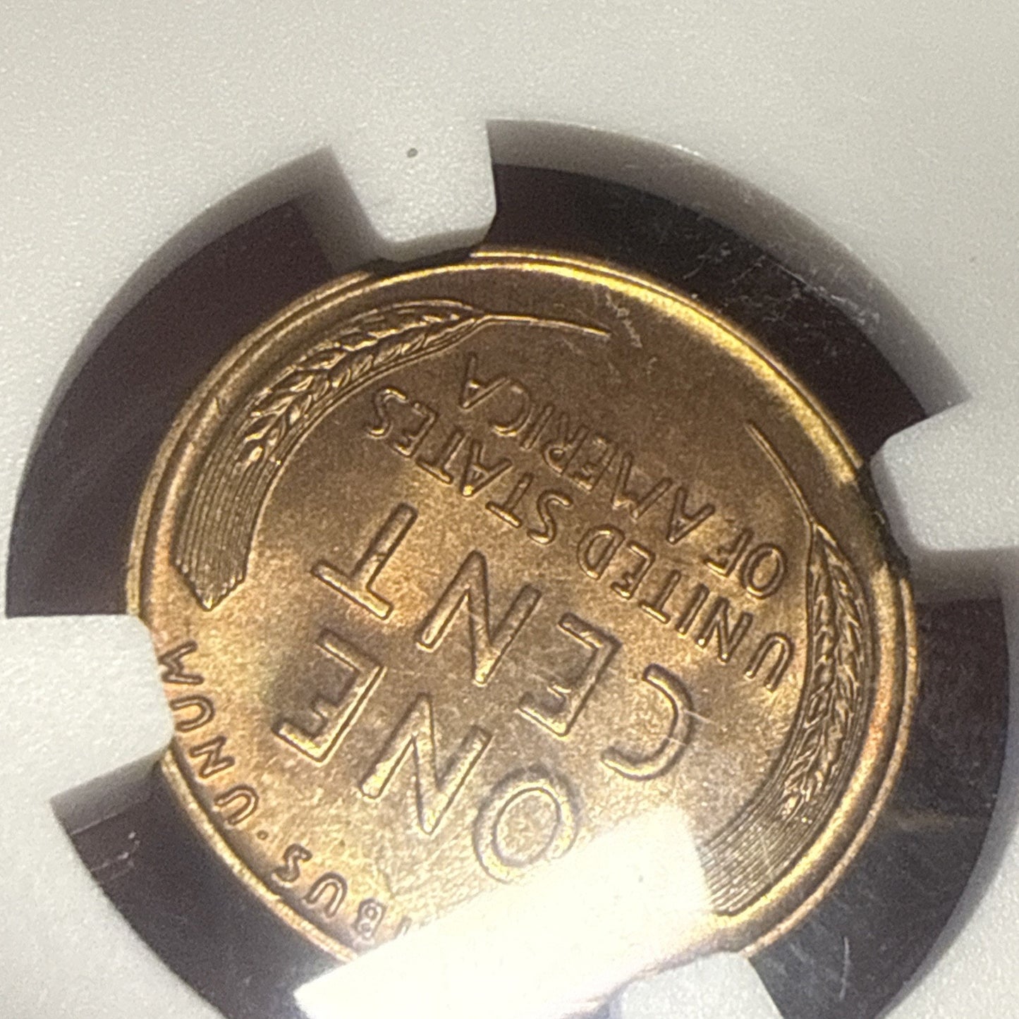 1931-S 1c NGC MS-64 RB Lincoln Wheat Cent Amazing Color