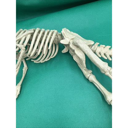 Jurassic World Fallen Kingdom Quest Indominus Rex Articulated Skeleton Figure