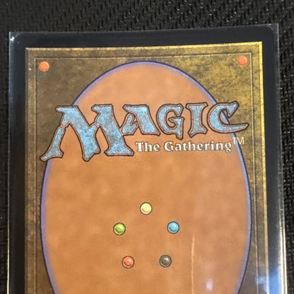 1x Court of Garenbrig FOIL (Extended) - NM - Commander: Wilds of Eldraine - 33