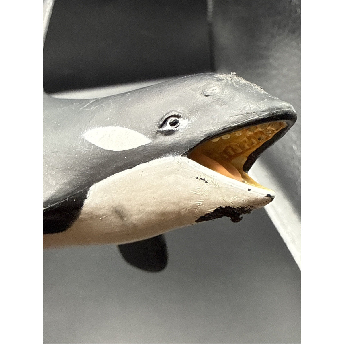2007 ORCA Killer Whale 6” Safari Ltd Toys Figurine. Sea Life Mammal Marine