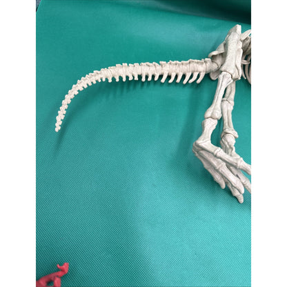 Jurassic World Fallen Kingdom Quest Indominus Rex Articulated Skeleton Figure
