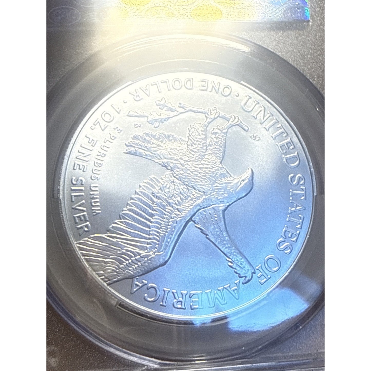 2025 (P) Silver Eagle, EAGLE PRIVY, certified MS 69 by CAC!