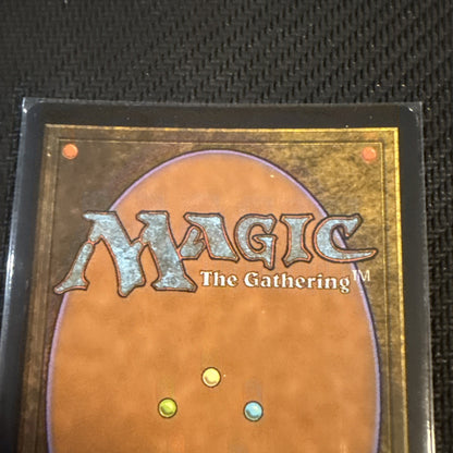 Gyre Sage - Gatecrash - MTG - LP - FOIL