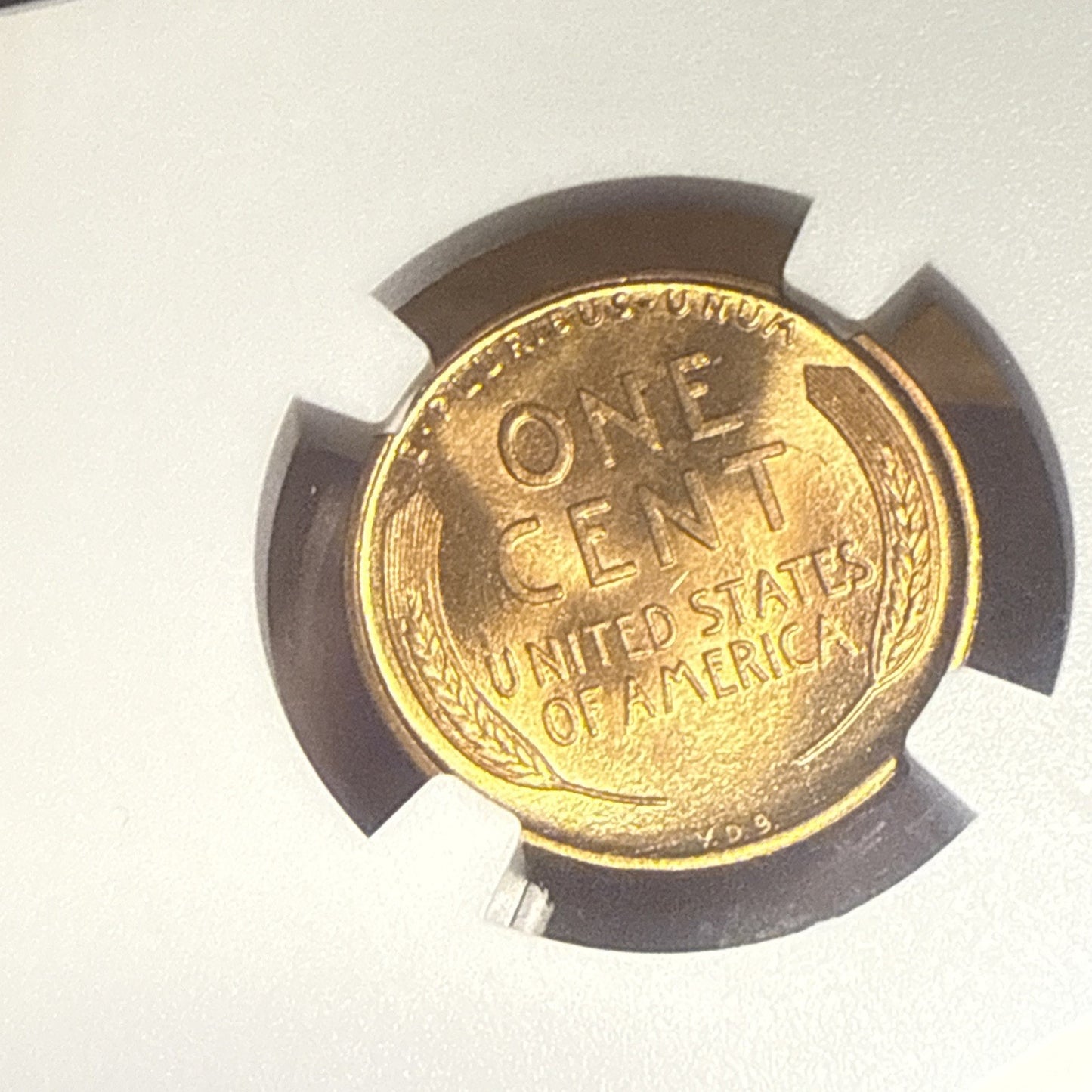 1909 VDB Lincoln Cent NGC MS 65 RD - Bullion Plus