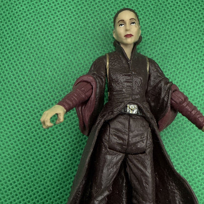 Hasbro Star Wars Episode 1 Naboo Queen Amidala Action Figure - toyscardscomics