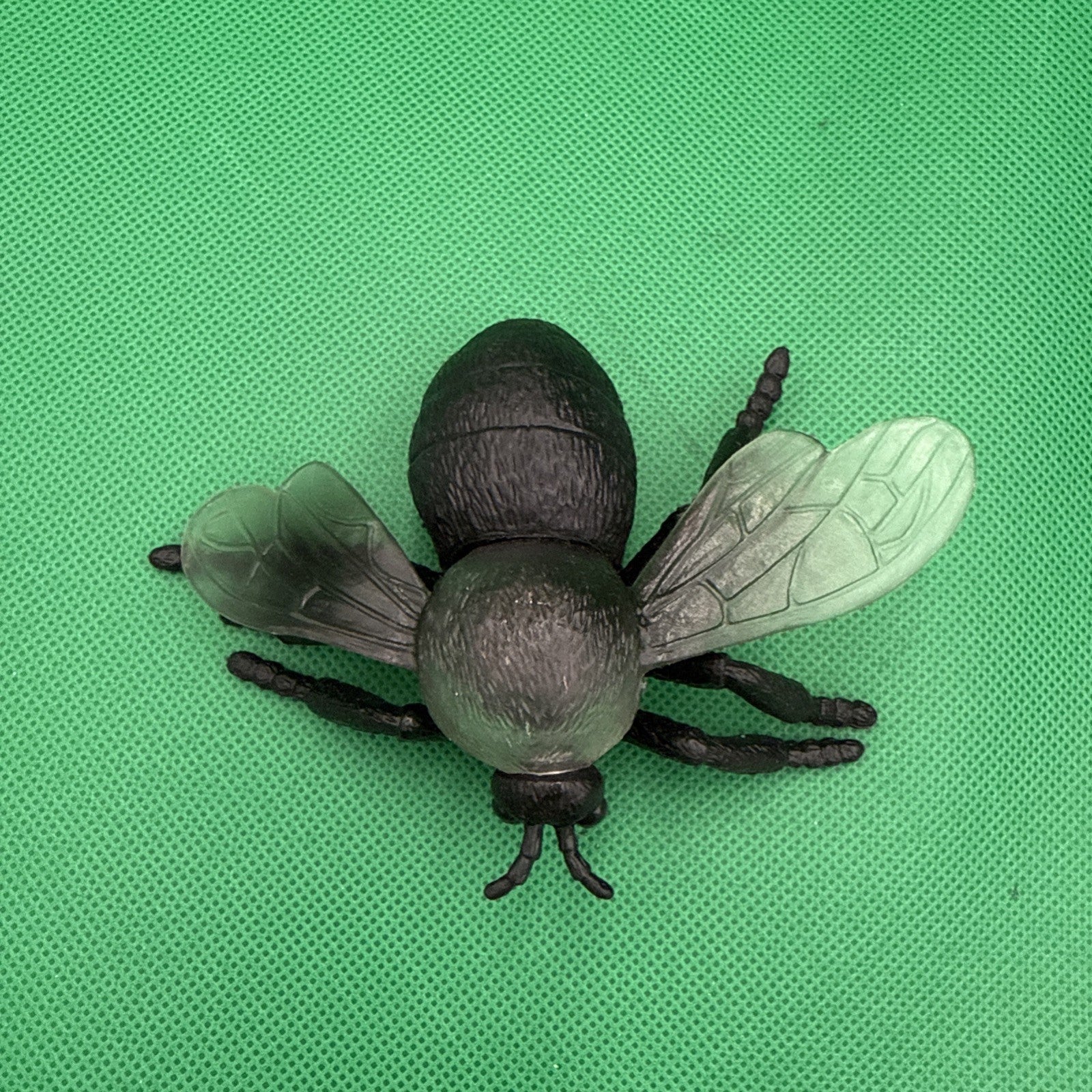 Jumbo Fly Figure Black Bug Transparent Wings Creepy Ugly Science Nature - toyscardscomics