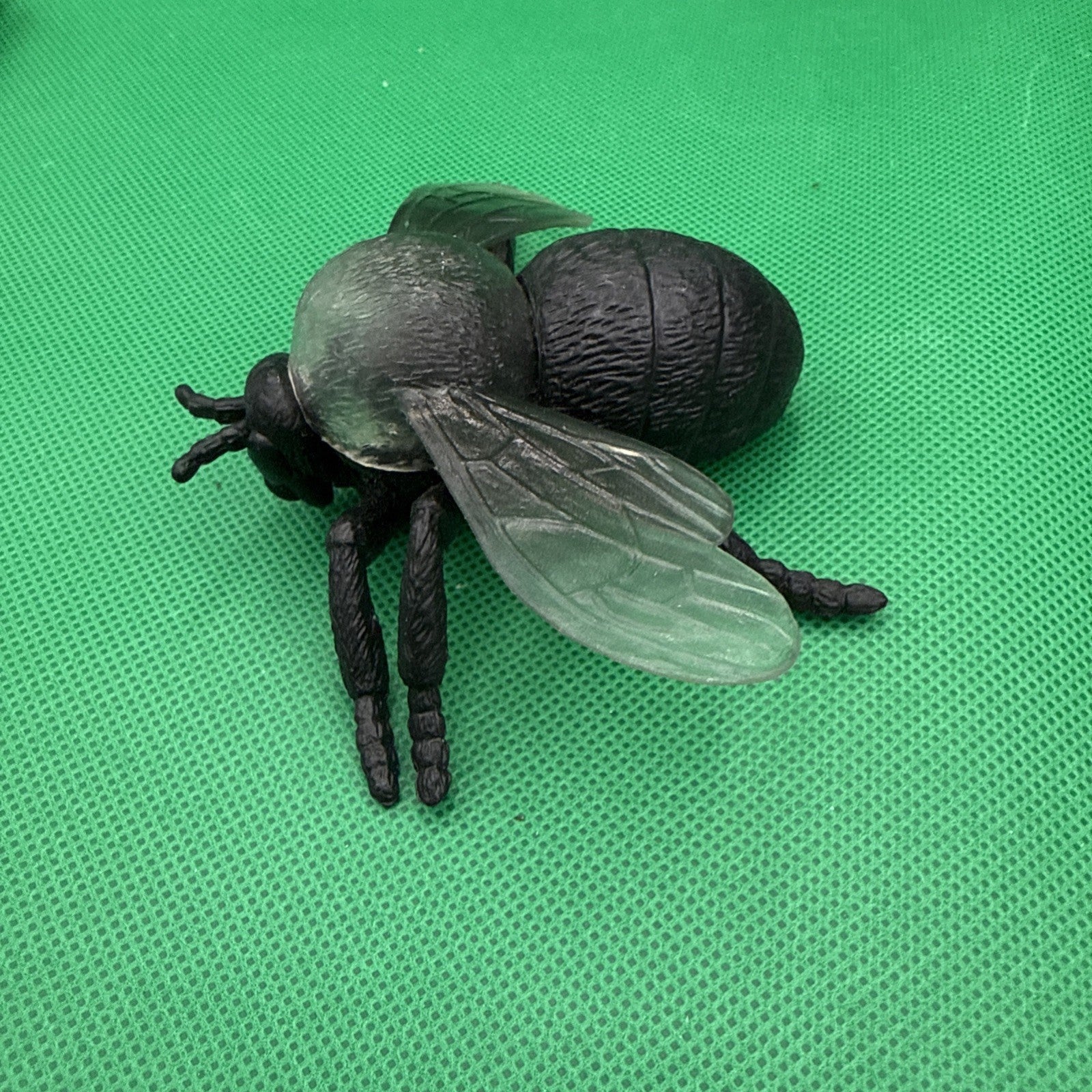 Jumbo Fly Figure Black Bug Transparent Wings Creepy Ugly Science Nature - toyscardscomics