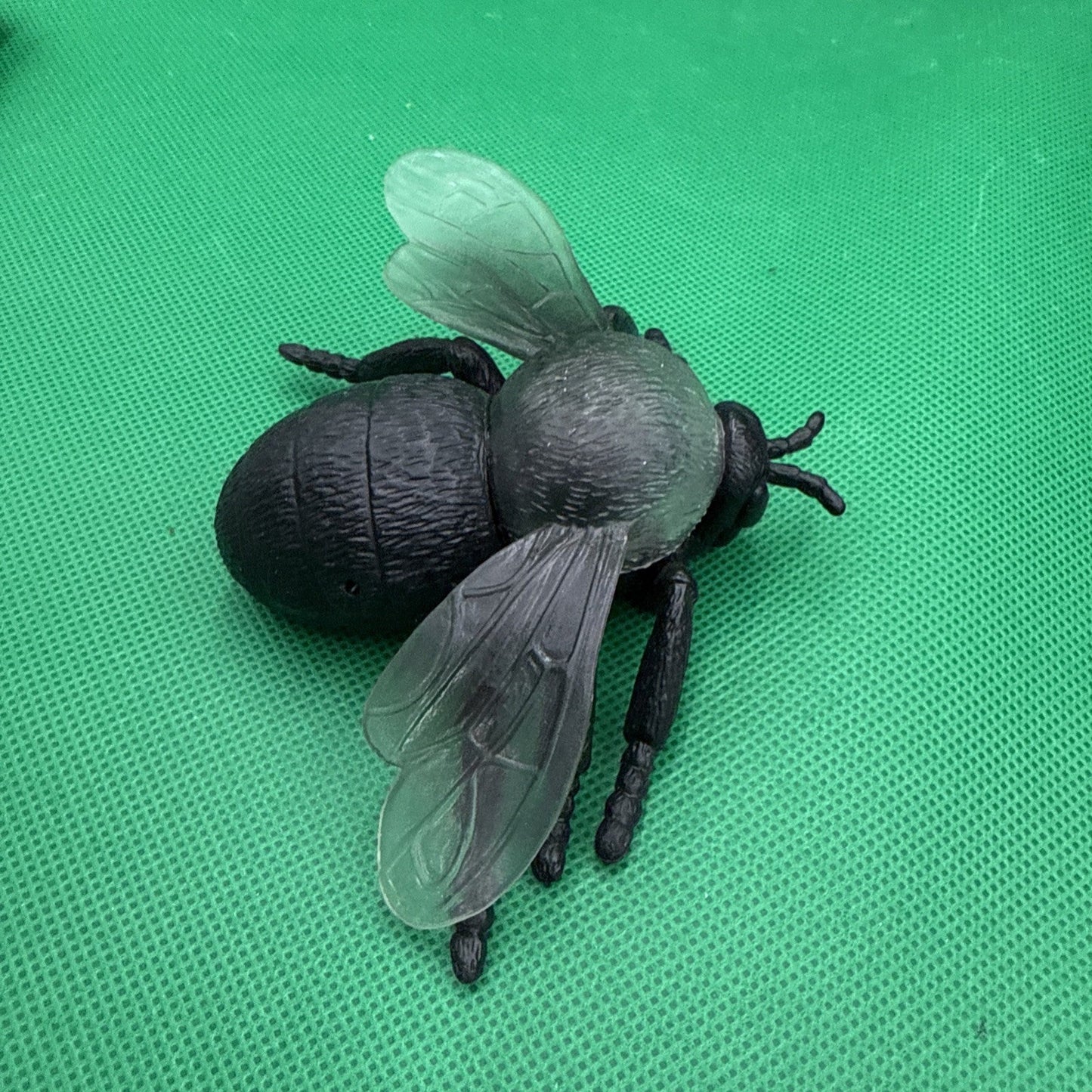 Jumbo Fly Figure Black Bug Transparent Wings Creepy Ugly Science Nature - toyscardscomics