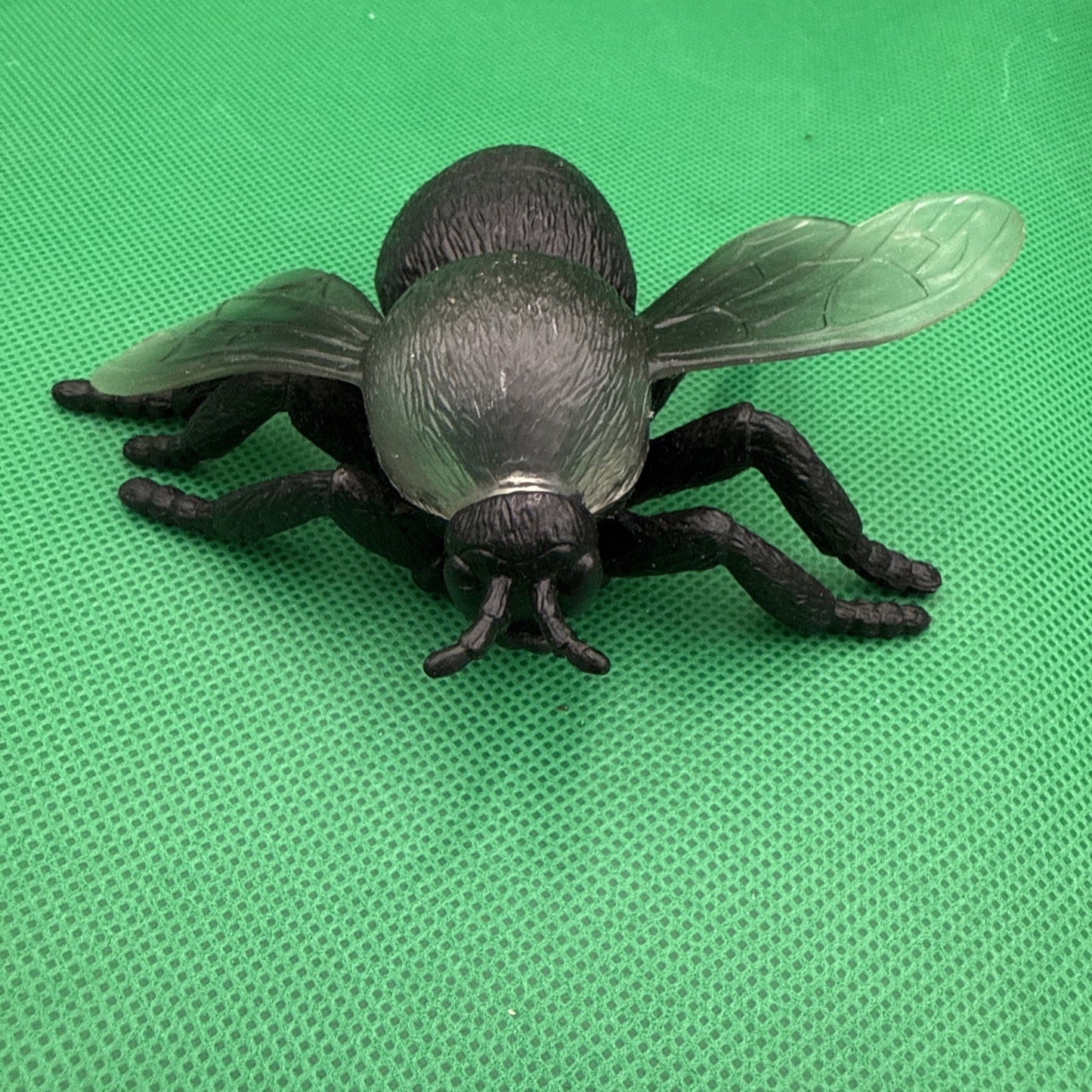 Jumbo Fly Figure Black Bug Transparent Wings Creepy Ugly Science Nature - toyscardscomics