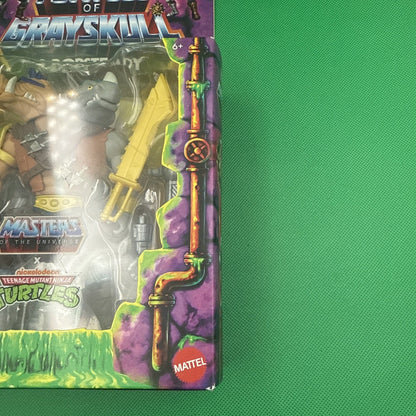 New MOTU Masters of the Universe x TMNT Turtles of Grayskull 2 - Bopsteady IN HAND - toyscardscomics