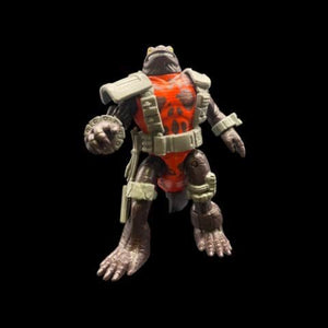 Descriptive image text