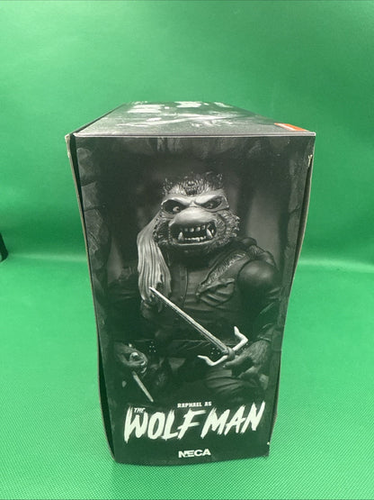 Teenage Mutant Ninja Turles Creature Double Feature. Neca 2 Pack. Mint - toyscardscomics